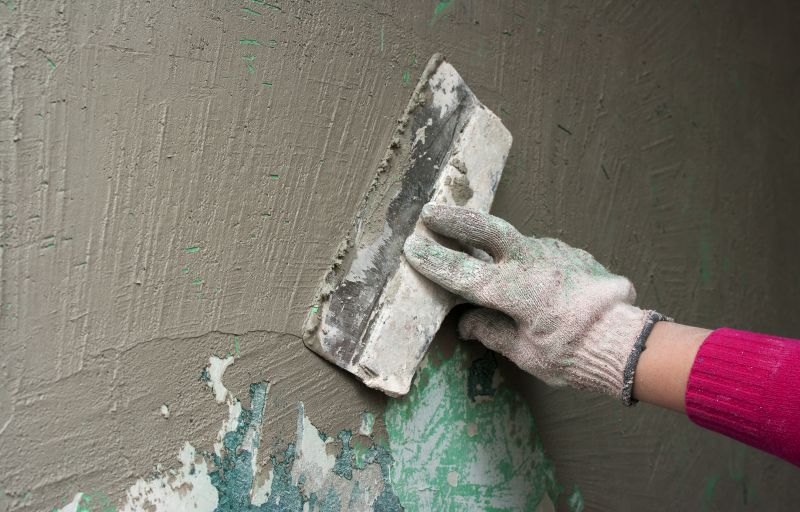 Plaster Repair Service